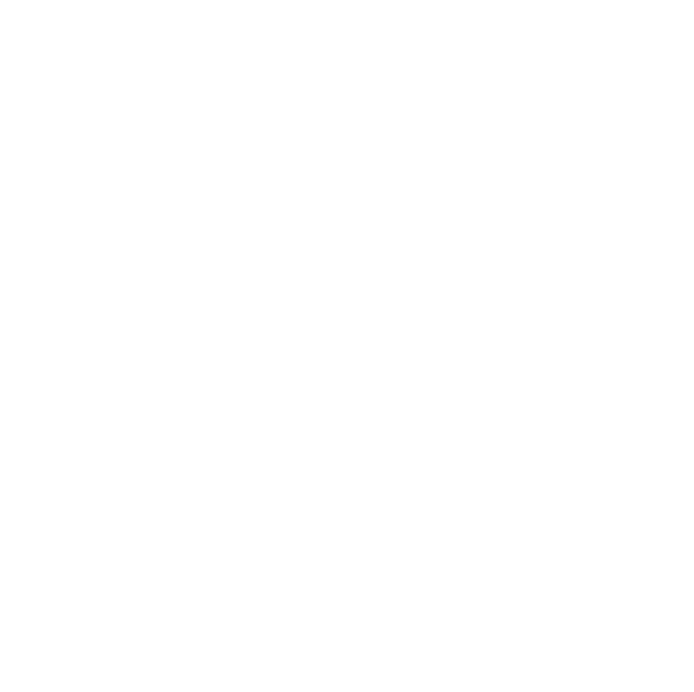 Elevated Media Group